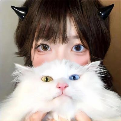 明星伙伴 第八季